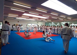 P1010029